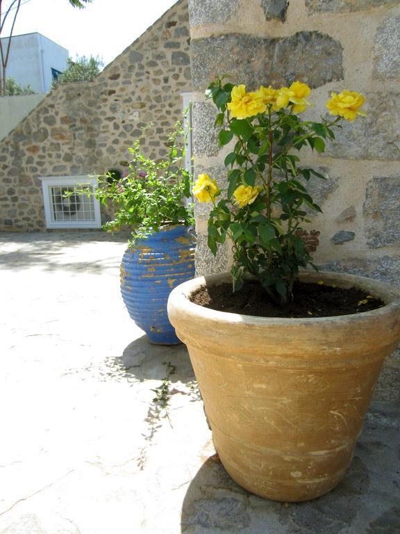 Kiki'S Houses Vlichos Hydra  Luaran gambar